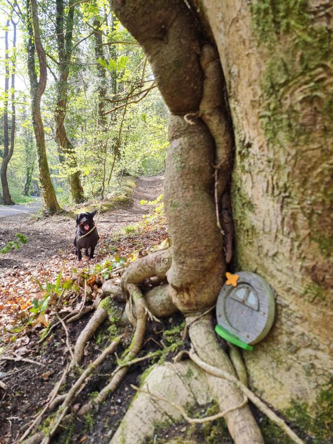 Old Road Cottage Pet Friendly Outdoors Beaches Neath Dış mekan fotoğraf